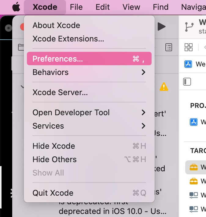 Xcode Preferences